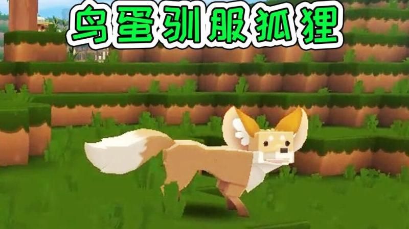 迷你世界怎么驯服狐狸当宠物